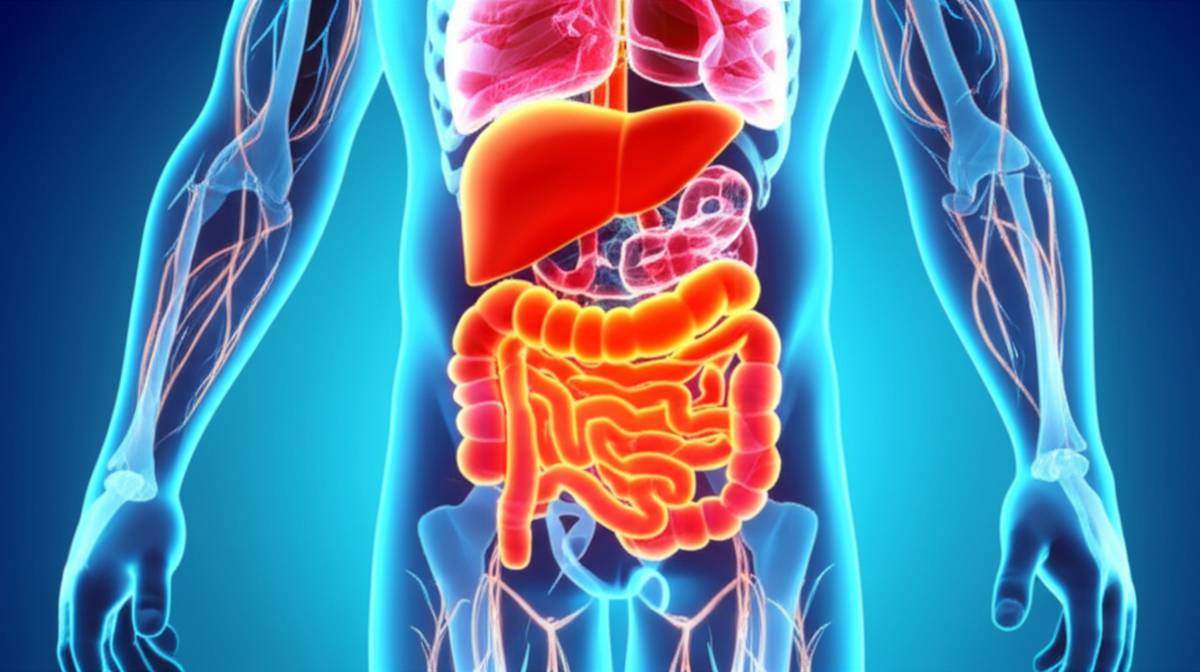 قرص های لاغری: دقیقا چگونه لاغر می کنند؟ (راهنمای کامل)