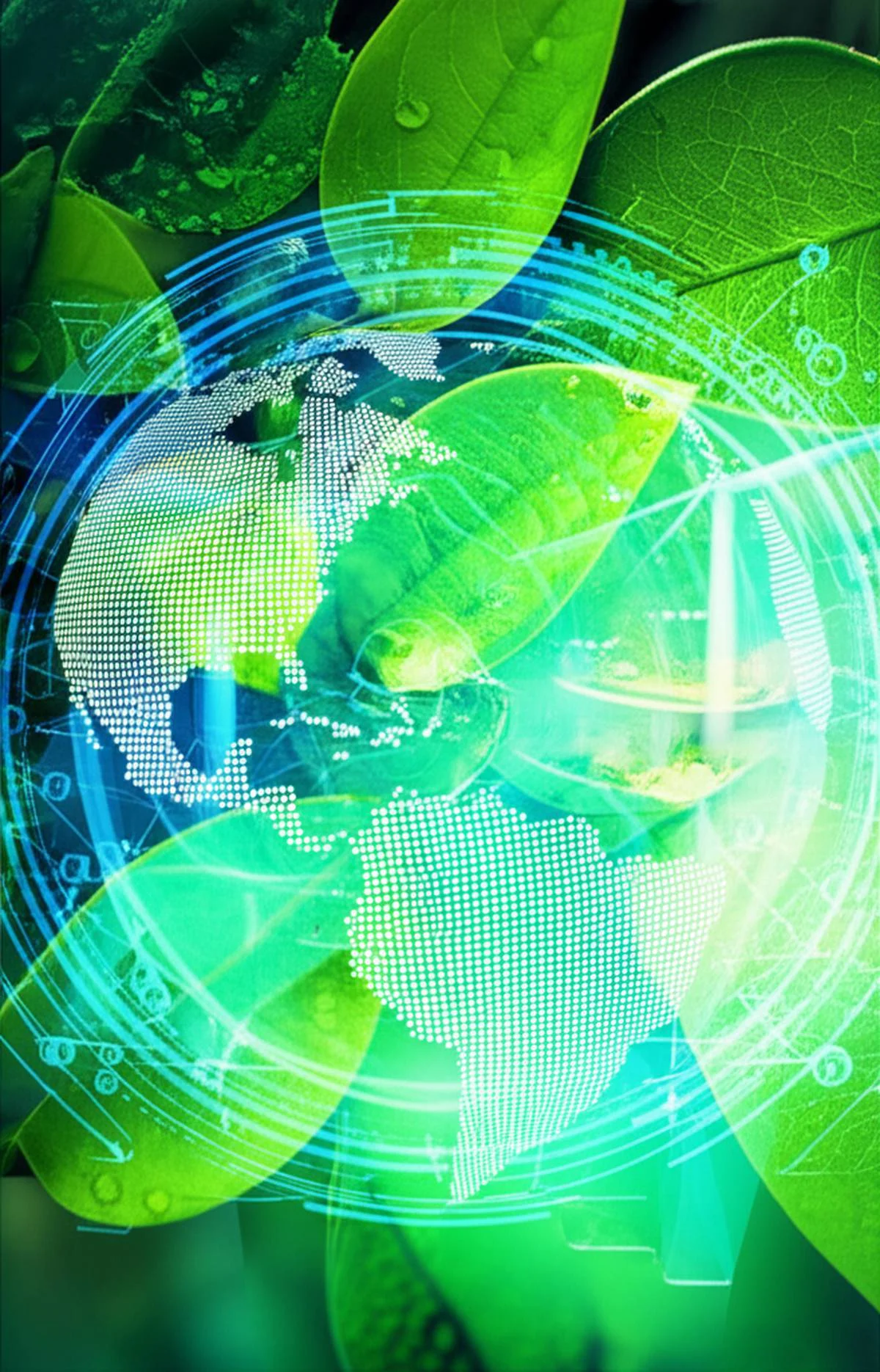سندهای جدید سبز رنگ | هر آنچه باید بدانید (آپدیت ۲۰۲۴)