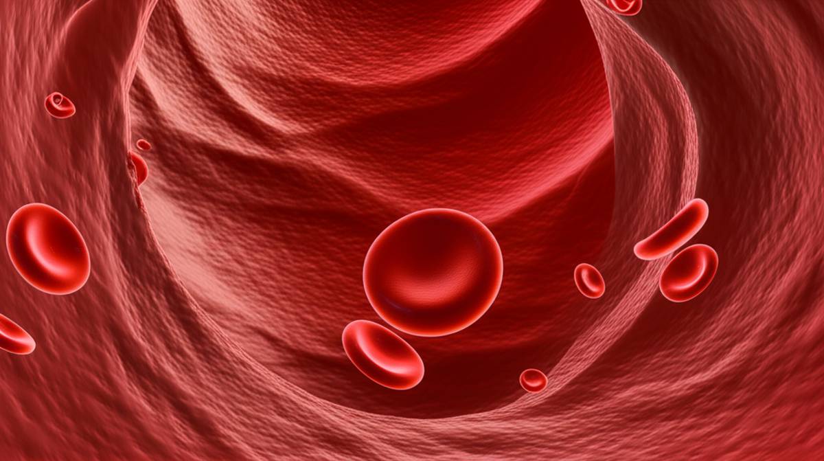 قوانین حقوقی شکل لخته خون پریودی: هر آنچه باید بدانید | علل و انواع